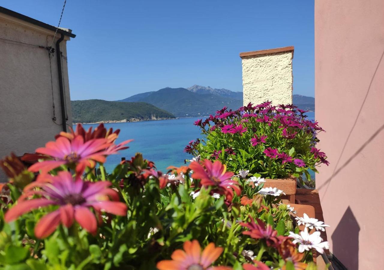 Holiday home Le Maree La *